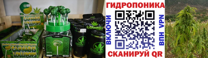 Cannafood конопля  Купить  Менделеевск 
